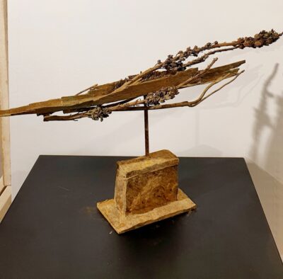 Barque végétale L60 H28x9 cm, bronze 1/1