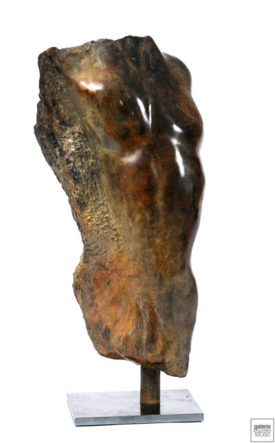 Bronze, 46x25x16 cm